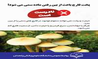 پخت قارچ باعث از بین رفتن ماده سمی می شود؟